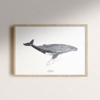 A4 Druckposter mit Tucan und Limon Motiv, bunte Papeterie, hochwertige Druckqualität, dekoratives Wandbild