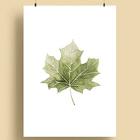 A5 Druckposter „Ahornblatt” von tucan y limon, dekoratives Papierposter mit Ahornblatt-Design, ideal für die Papeterie.