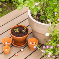 Geschenk-Eierschachtel, blossombs