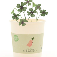 Komplimente-Becher | Die Stadtgärtner