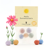 Komplimente Saatkugeln 5er | Die Stadtgärtner