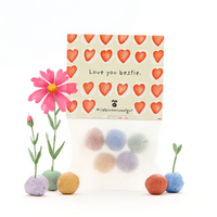 Komplimente Saatkugeln 5er | Die Stadtgärtner