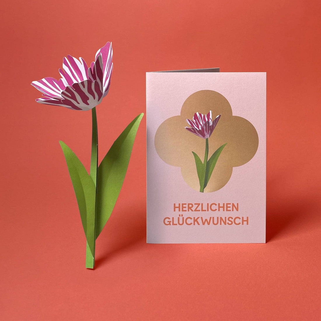 Grußkarte Tulpe Gestreift I Faltmeister