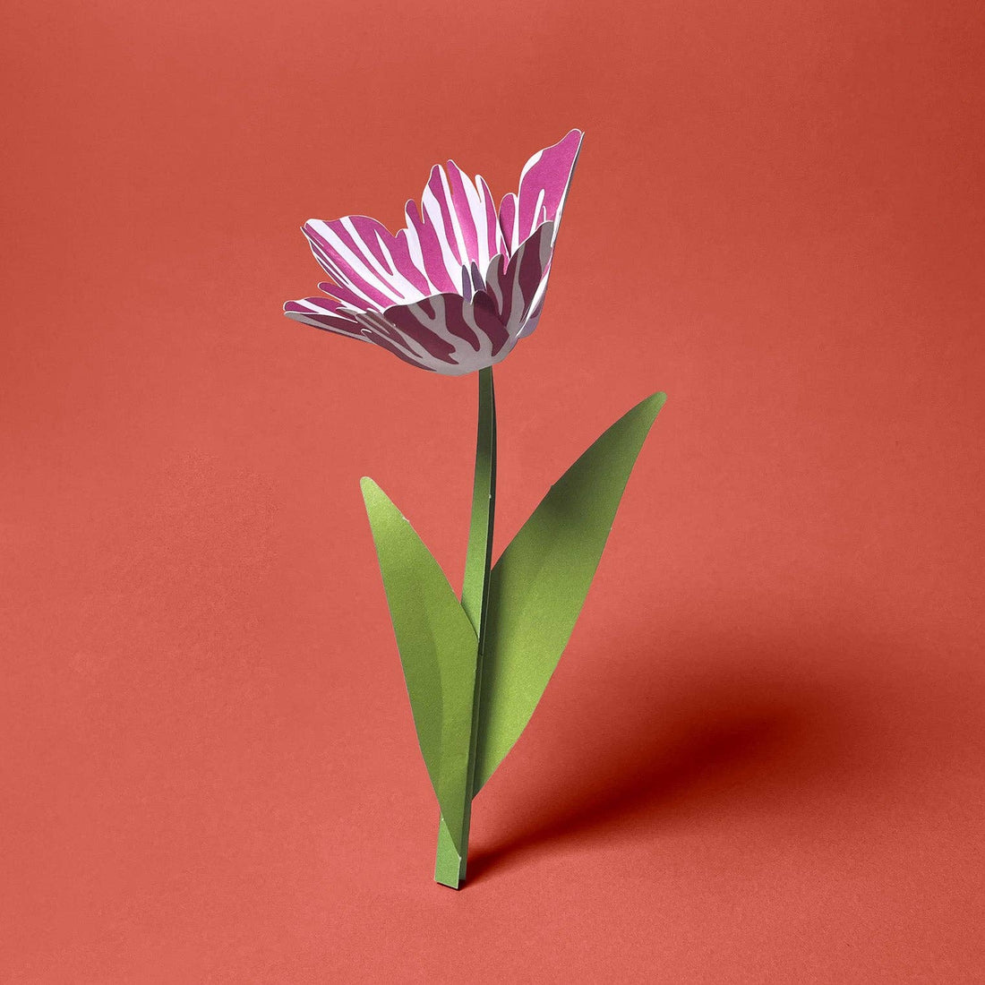 Grußkarte Tulpe Gestreift I Faltmeister