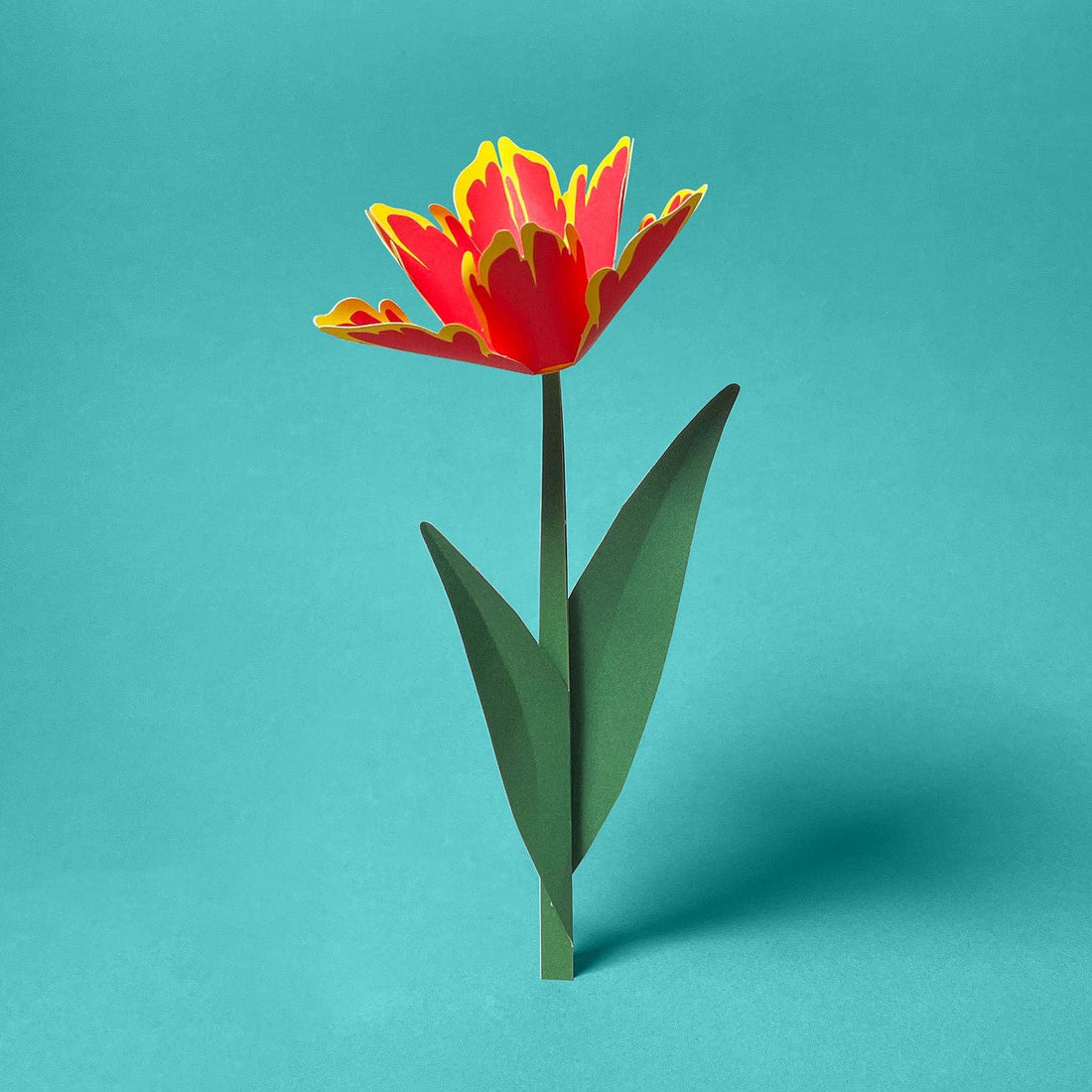 Grußkarte Tulpe Rot I Faltmeister