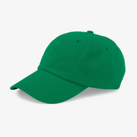 Bunte Cap aus Bio-Baumwolle von Colorful Standard in Kelly-Grün, modisches Accessoire mit farbigem Design.