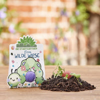 Kinder Blumenmurmel, Die Stadtgärtner