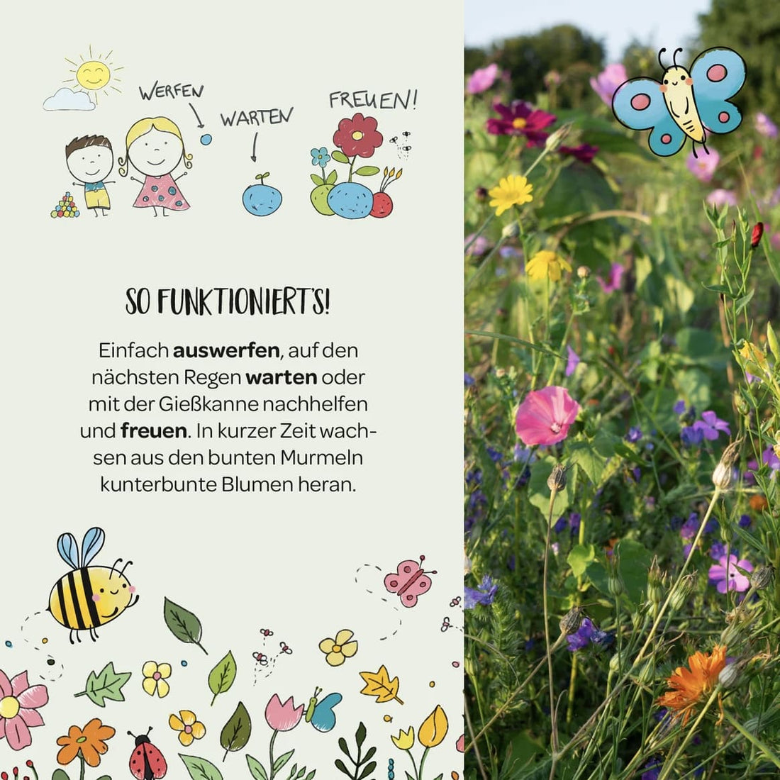 Blumenmurmeln, Die Stadtgärtner