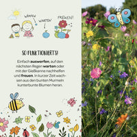 Blumenmurmeln, Die Stadtgärtner