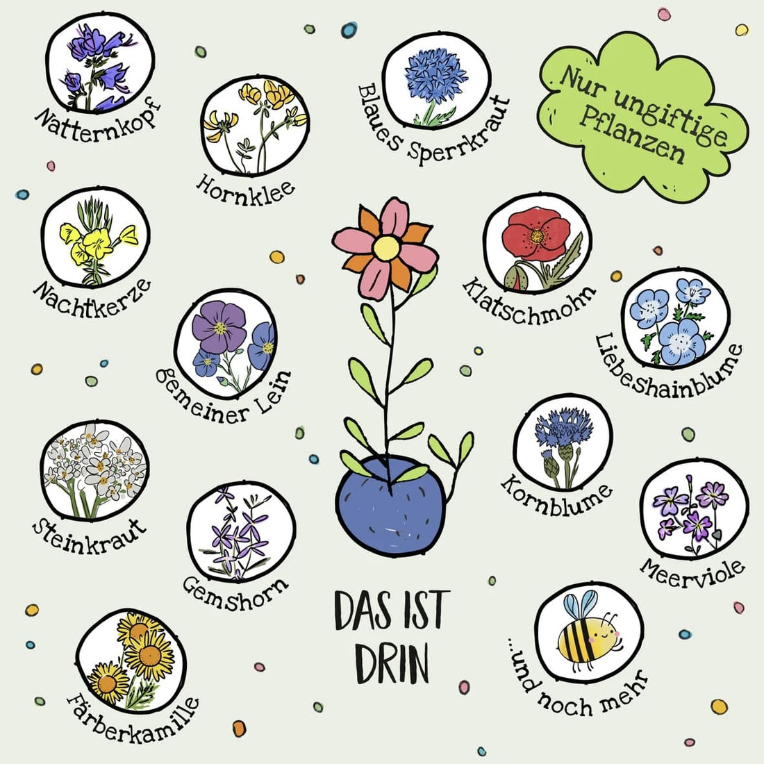 Blumenmurmeln, Die Stadtgärtner