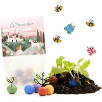 5er Blumenmurmeln Kinder, Die Stadtgärtner