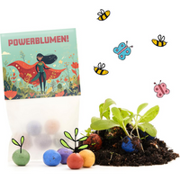 5er Blumenmurmeln „Powerblumen“, Die Stadtgärtner