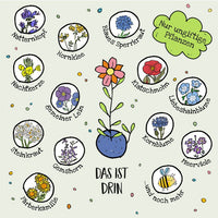 5er Blumenmurmeln Kinder, Die Stadtgärtner