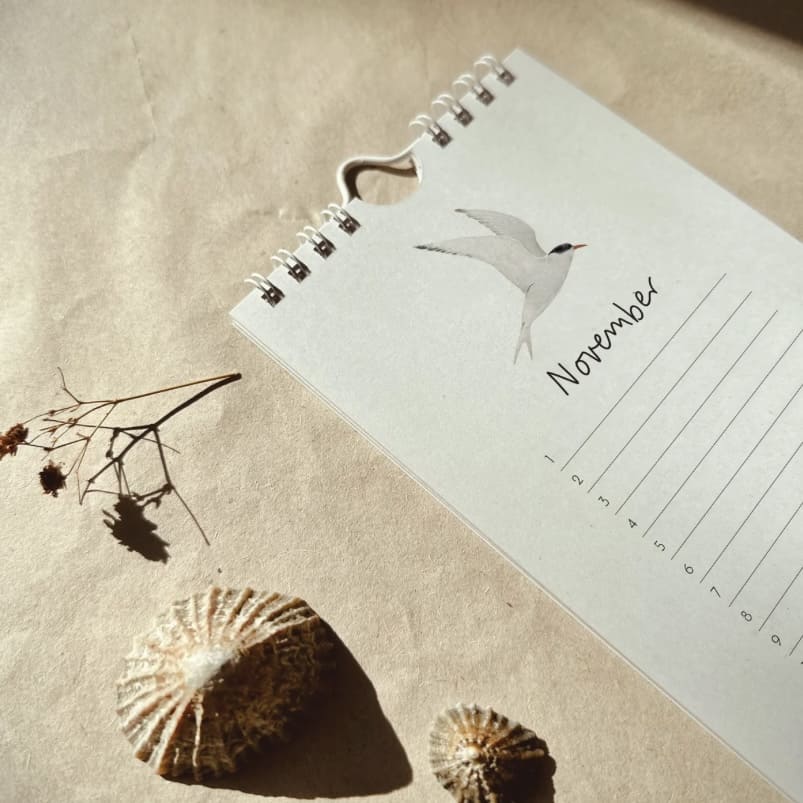 Geburtstags- und Alljahres-Kalender von tucan y limon, drinnen und draußen, mit bunten Illustrationen und Monatsübersichten.