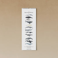 Geburtstags- und Alljahres-Kalender von tucan y limon, drinnen und draußen, mit bunten Design und Platz für Termine.