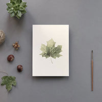 A5 Poster „Ahornblatt“ von tucan y limon, Druck auf Papier, dekoratives Naturmotiv in warmen Farben.