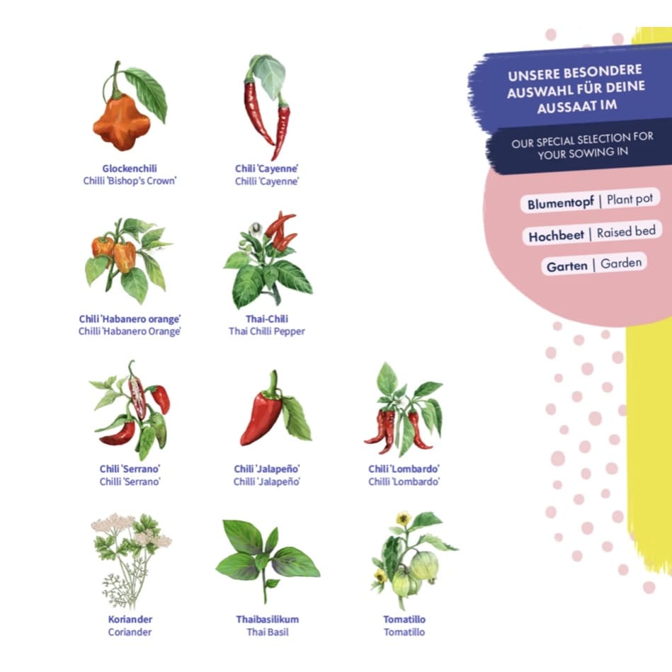 Saatgut Samenset ,,Chilis & Friends ’‘ - Magic Garden Seeds