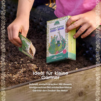 Saatgut Set, Stadtgärtner