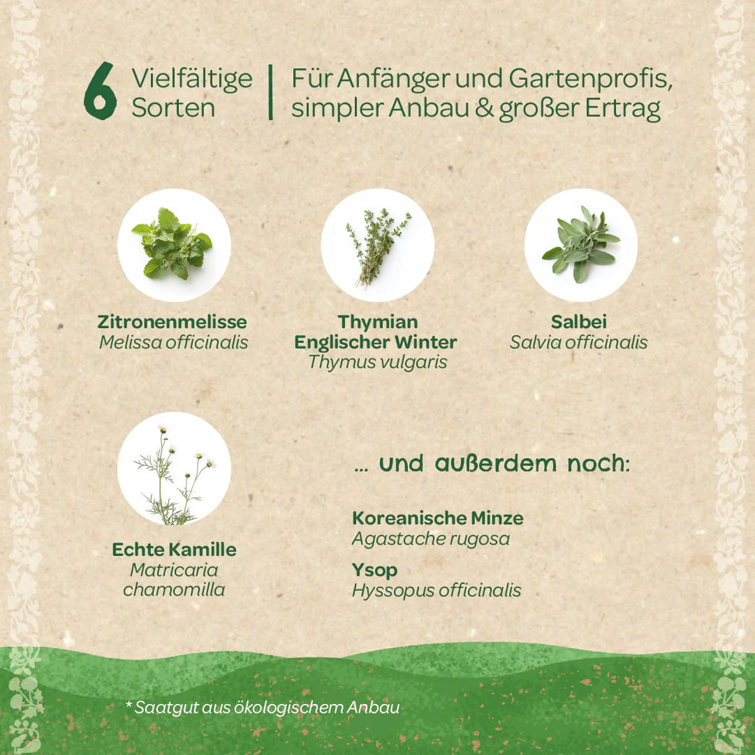 Saatgut Set, Stadtgärtner