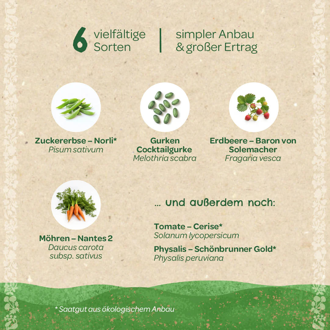 Saatgut Set, Stadtgärtner