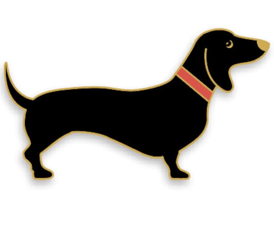 Pin Dackel, Heimatformat