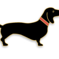 Pin Dackel, Heimatformat