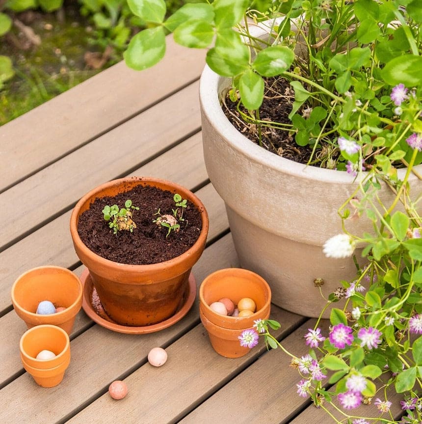 Geschenk-Eierschachtel, blossombs