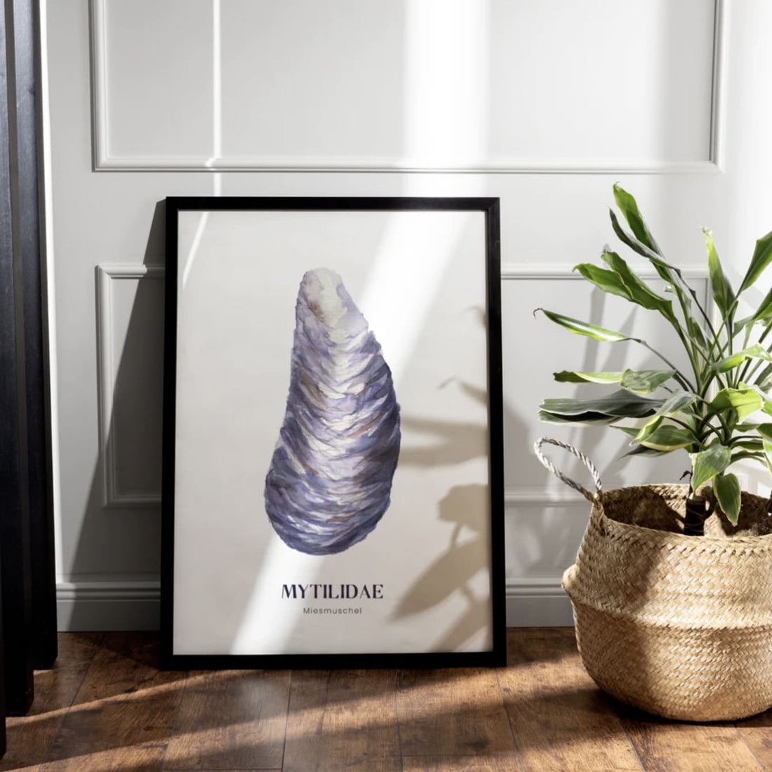 Poster „Miesmuschel“ DIN A4 | saltwaterdesigns