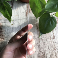 Lesezeichen „philodendron lover“, plantyintroverts