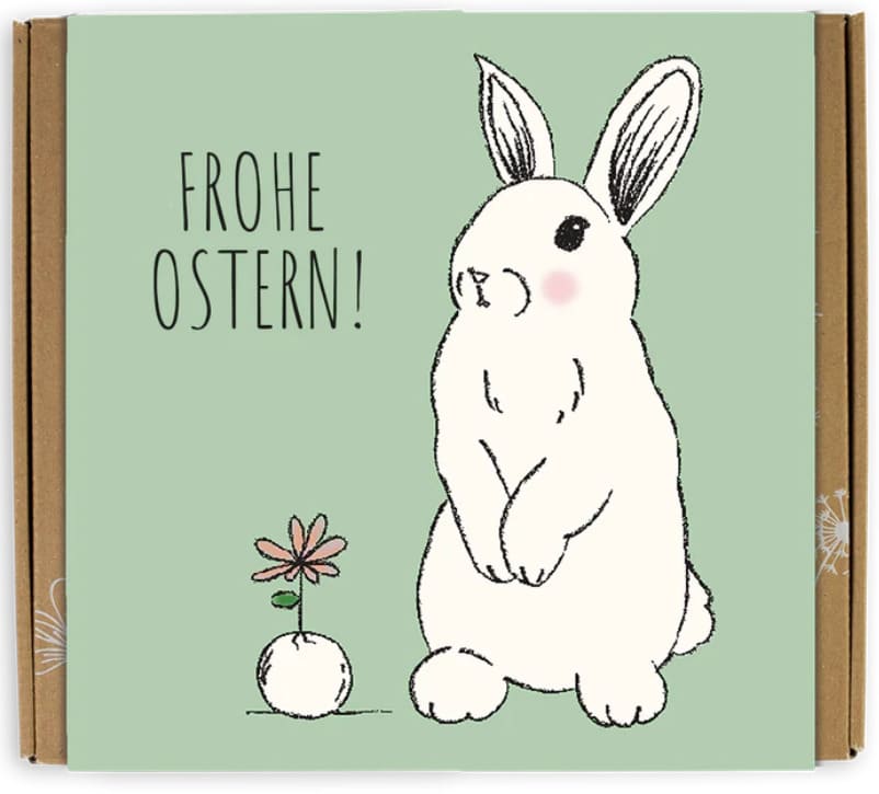 Blossombs Geschenk-Box Mittel für drinnen und draußen, bunt und dekorativ, ideal zum Verschenken oder Dekorieren.