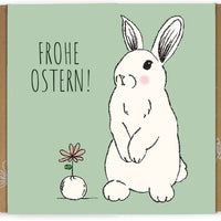 Blossombs Geschenk-Box Mittel für drinnen und draußen, bunt und dekorativ, ideal zum Verschenken oder Dekorieren.