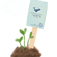 Saatgrüße mit Spruch | Stadtgärtner